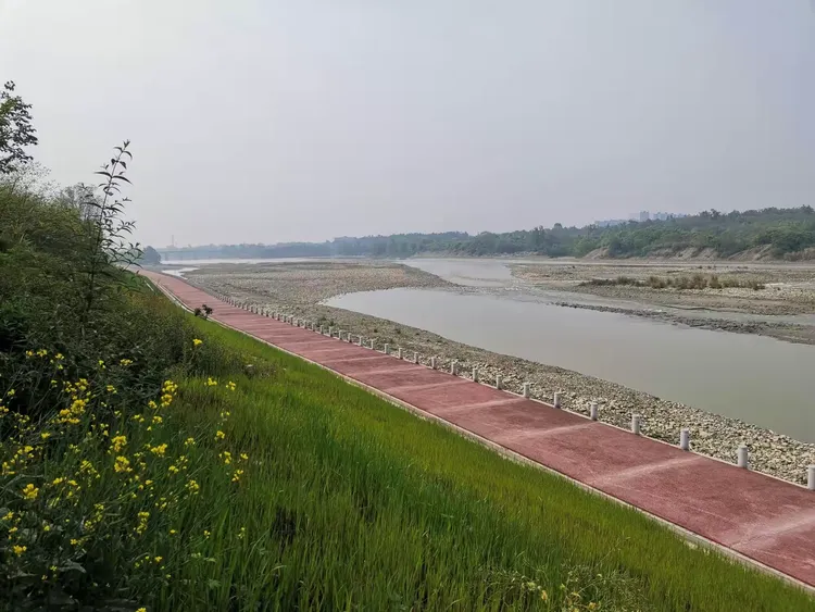 骑行金马河鲁家滩