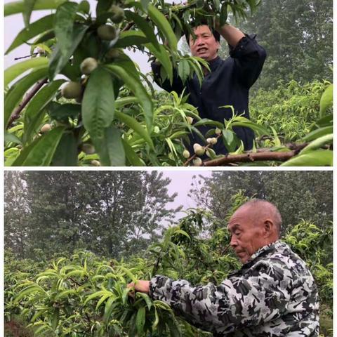 传“金”送“宝”及时雨，金燕惠及你我他