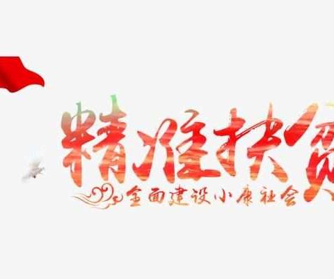 桐柏县公安局新集乡全国交通安全宣传日活动暨农商银行张盖村整村授信会成功召开