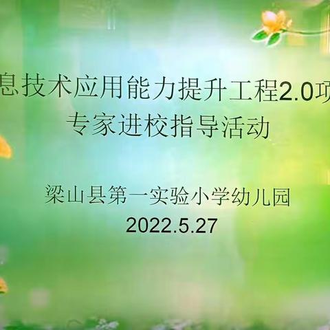 引领新思路,指导促进步——梁山县第一实验小学幼儿园信息技术应用能力提升工程2.0市级专家入园指导