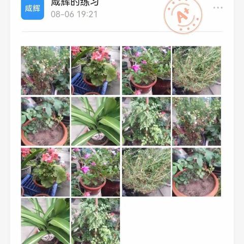 生物暑假作业第三周第四周汇报