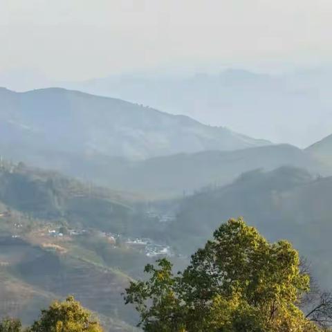 云南百花岭观鸟手册