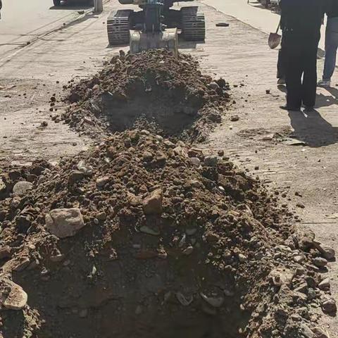 绿化美化村庄，助力乡村振兴——伊川县酒后镇酒后村绿化家园