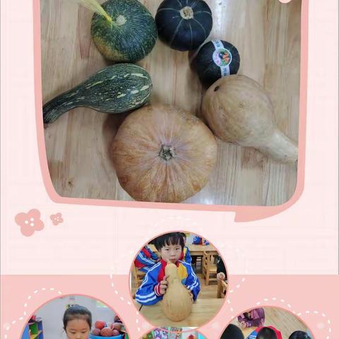 【班本课程】蓝天幼儿园中二班班本课程——《南瓜，你好》