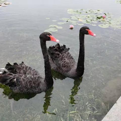 2022年7月走园上海辰山植物园