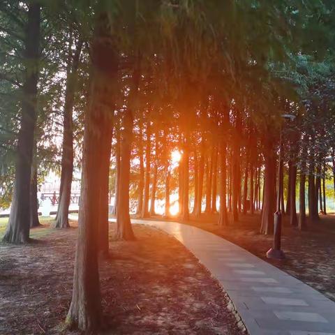 2022年十月走园--石湖景区