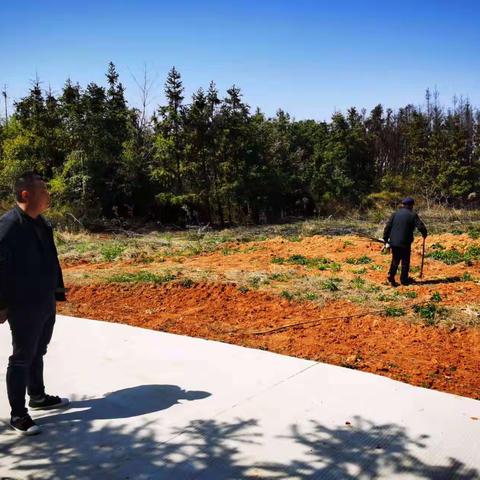 牛皋村——森林救火