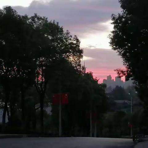 且将新火试新茶 诗酒趁年华【襄阳职业技术学院师范学院小学教育2110班白小锦】