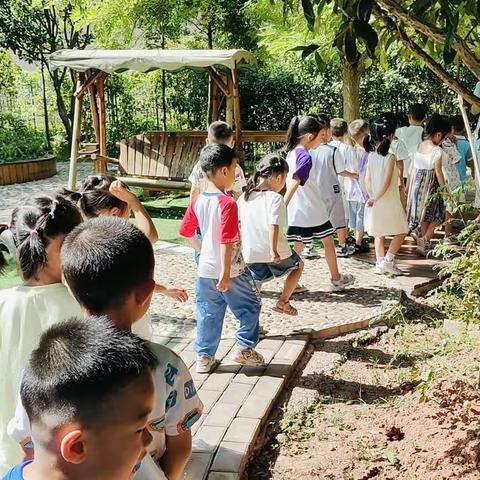 湘湾首府幼儿园向阳班——【快乐暑假，留“夏”回忆】