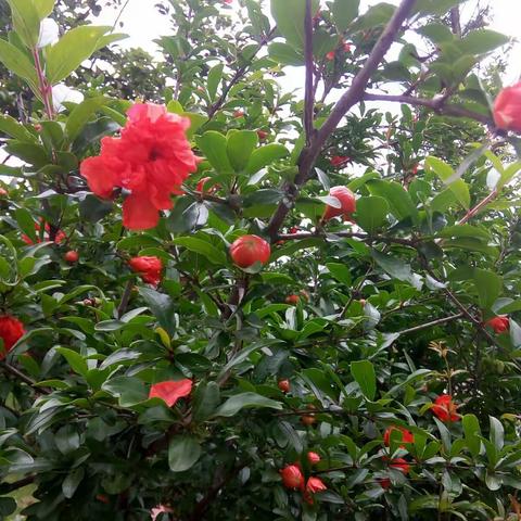 与你同行，青春无悔