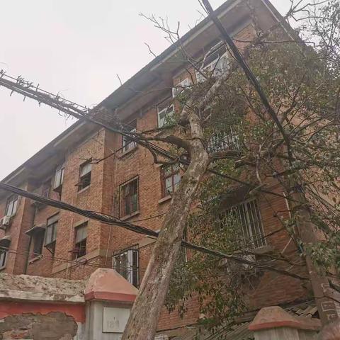 走入一线服务调研   加快解决疑难问题