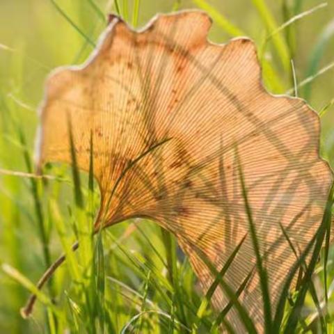🍁🍂童之乐幼儿园🍎🍇中班一周活动记录🌞🌞