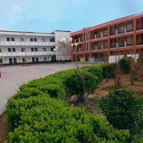 实战演练  备战开学－－同悦社区小学开学前模拟防疫演练