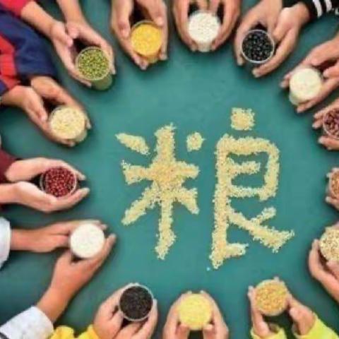 禾下乘凉梦   珍惜好“食”光——兖矿第二小学三十七处幼儿园爱粮节粮 传承美德主题系列活动