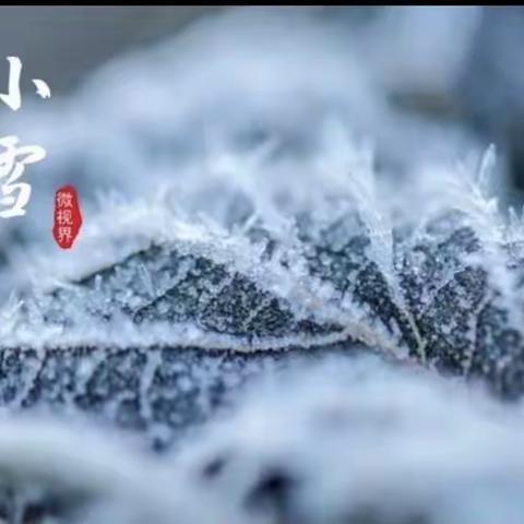 新起点大一班“小雪”节气主题活动《知时节，迎小雪》