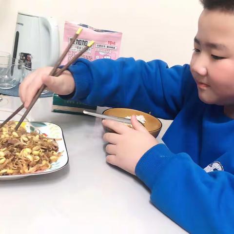 豆芽的生长过程