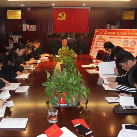 郑东支行党总支开展学习党的“十九大”会议精神活动