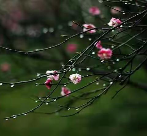 春日喜雨