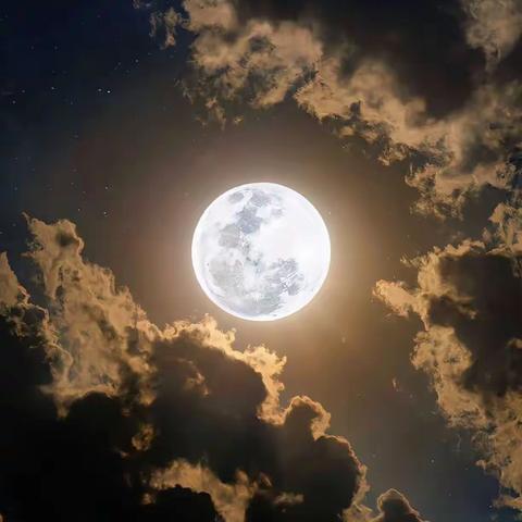 七绝·中秋邀月