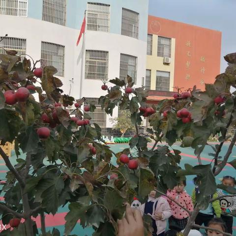 亲近自然，快乐采摘