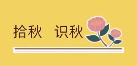 家园齐携手 线上亦教育--示范区金苹果幼儿园大班线上四季课程系列活动小结