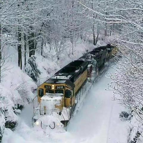 知节气 迎小雪--小陈幼儿园小雪节气主题教育活动