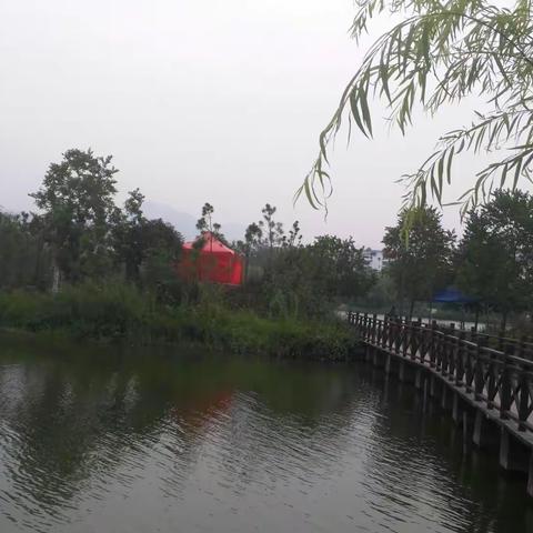 四十年前恰同学少年，风华正茂，激情满怀。曾记否，同窗共读度过最美好纯真的日子。……献给浦中78-2班高中同学