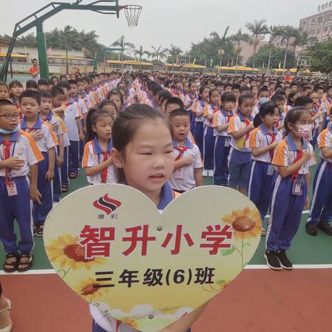 在骄阳中绽放，在蜕变中成长———智升学校306班日常剪影