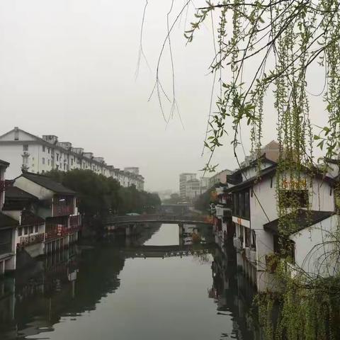 春雨潇潇游古镇