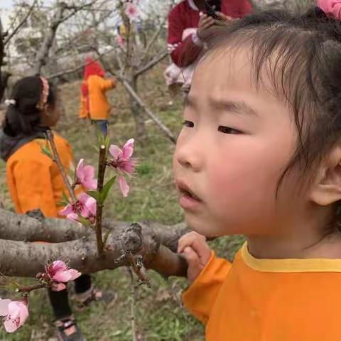 梁倩倩的美篇