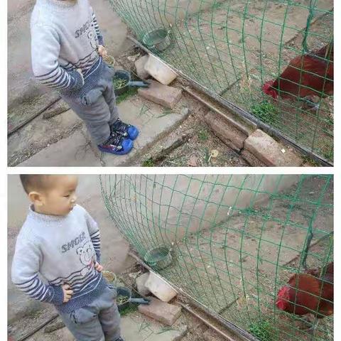 凤舞的美篇
