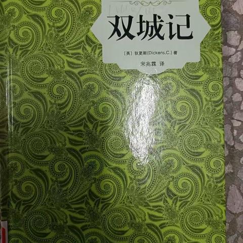 4月是一个适合读书的季节，这个月我充分利用课余时间阅读了一本文学名著——《双城记》