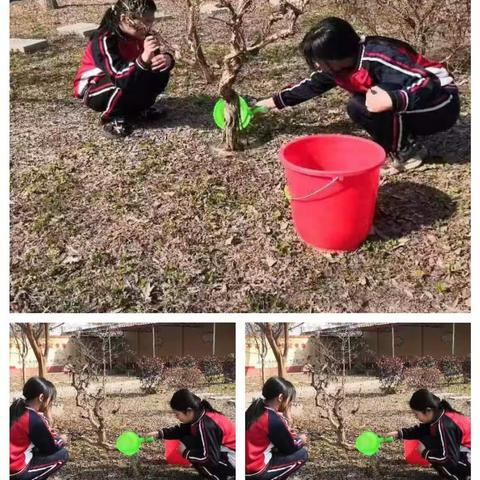 “向阳而生 向美而行”我为生活添点绿——五界村小学“植树节主题活动