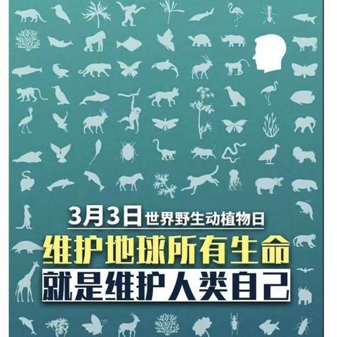 保护野生动植物，人人有责！——朱里街道于渠小学停课不停学，认真做好学生教育活动