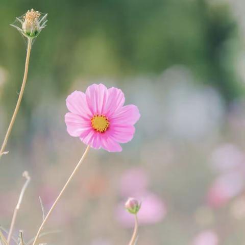 朱里街道于渠小学：春风花草香，读书正当时