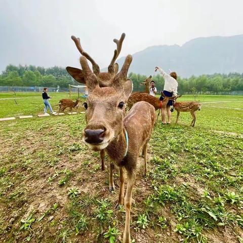 一起去春游唠～