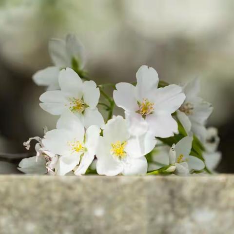 人间沧桑，淡定处然