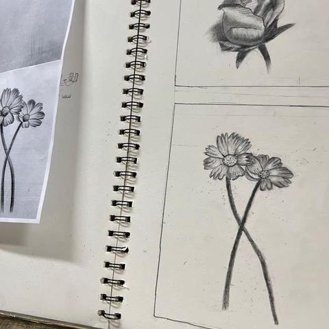 秦韵教育寒假素描班2022年1🈷️27日 课程总结