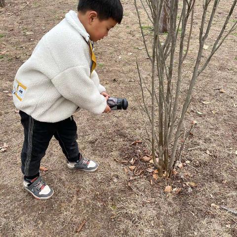 大一班“珍爱绿色 珍爱家园”3.12植树节活动