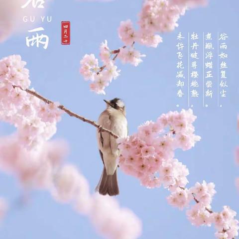 听细雨绵绵 -闻雨生百谷—示范幼儿园二十四节气之谷雨（小班组）