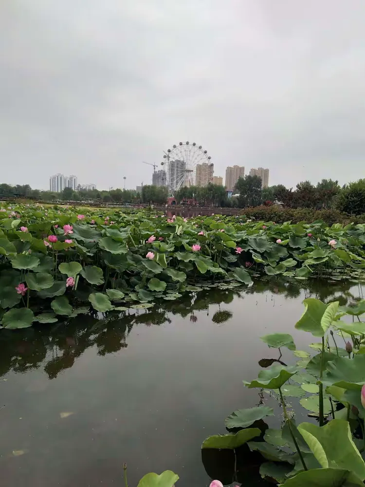 莒南五洲广场晨景