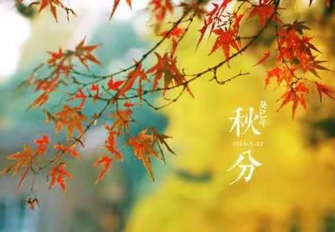 “秋分至🍂秋更浓”🍁——鄠邑区玉蝉中心幼儿园秋分主题活动