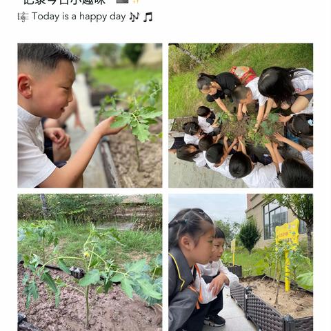 【小手添希望，春风拂绿苗】- 记东港学校103七色花班🌼劳动基地实践活动