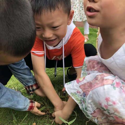 朝阳实验小学幼儿园      大三班