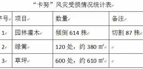 【澄迈玉禾田老城项目】“卡努”肆虐  团队奋战  彰显玉禾田精神（10月16日）