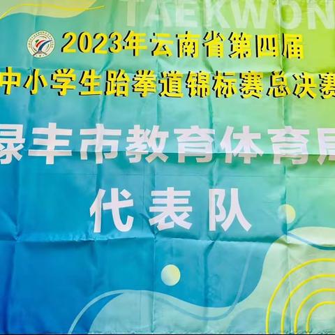 禄丰市辉煌体育培训学校在2023年第四届中小学生跆拳道锦标赛总决赛中喜获佳绩