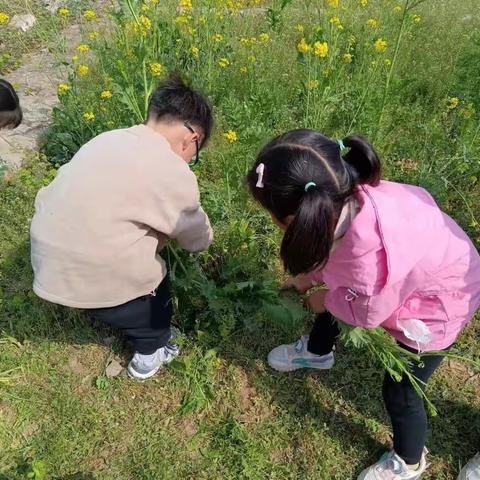 我们的小小种植园——播种篇