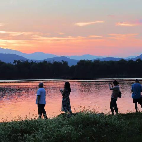 夕照秋荷