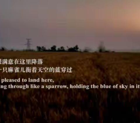 写给余秀华