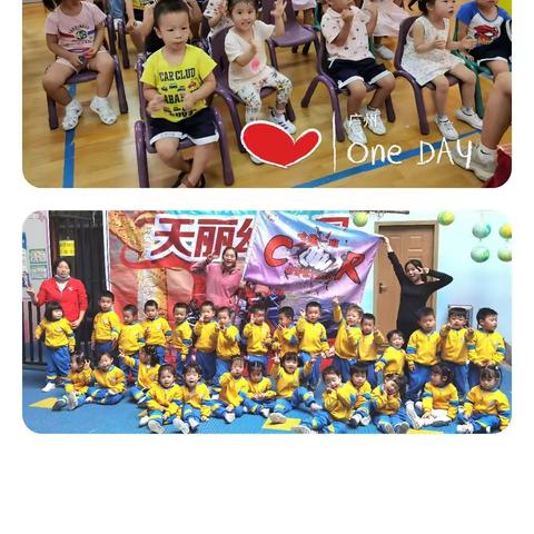 2020年12月主题《宠物店》—哈佛一班